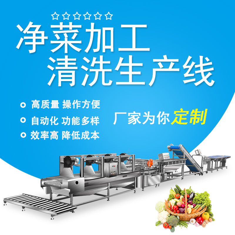 淨菜加工清洗（xǐ）生產線