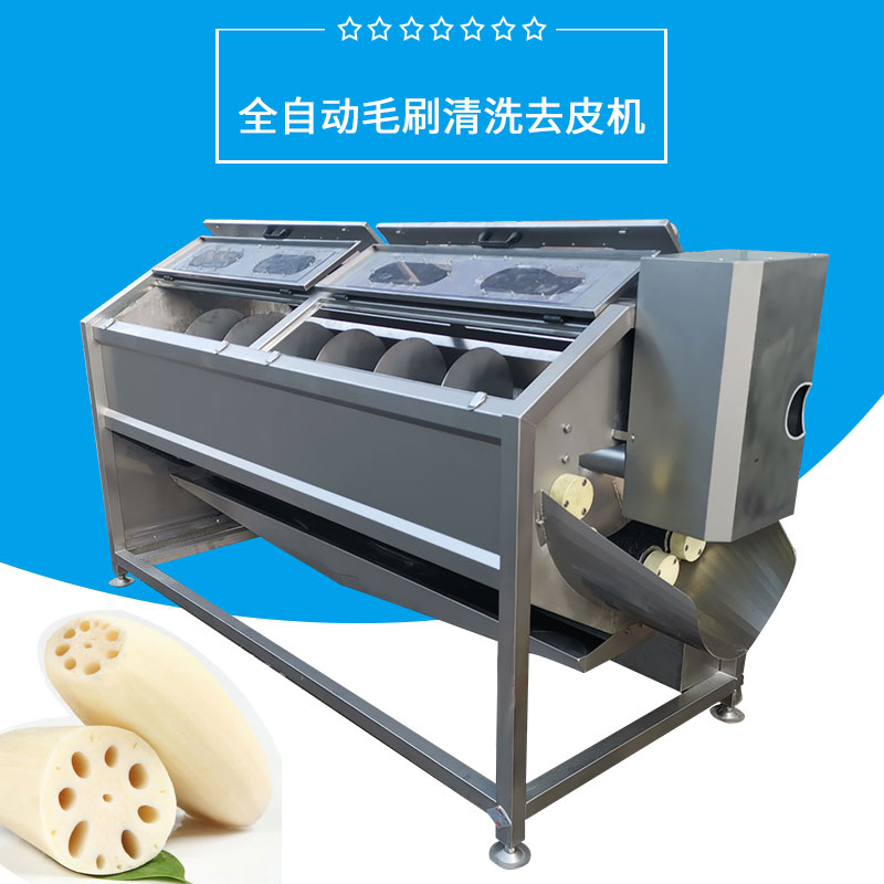 全自動毛刷清（qīng）洗（xǐ）去皮機FJY-TR2800