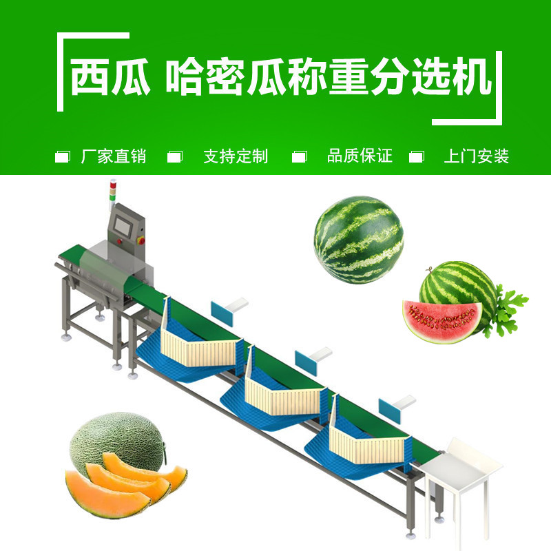 西（xī）瓜哈密瓜重量分選機（jī）