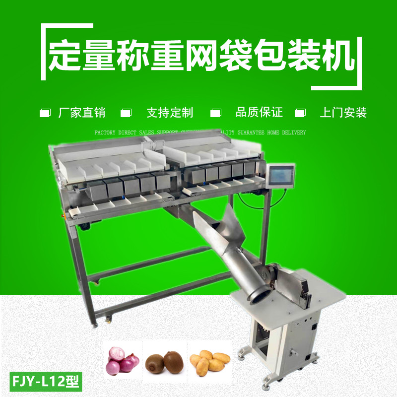定量稱（chēng）重網（wǎng）袋包裝機FJY-L12型